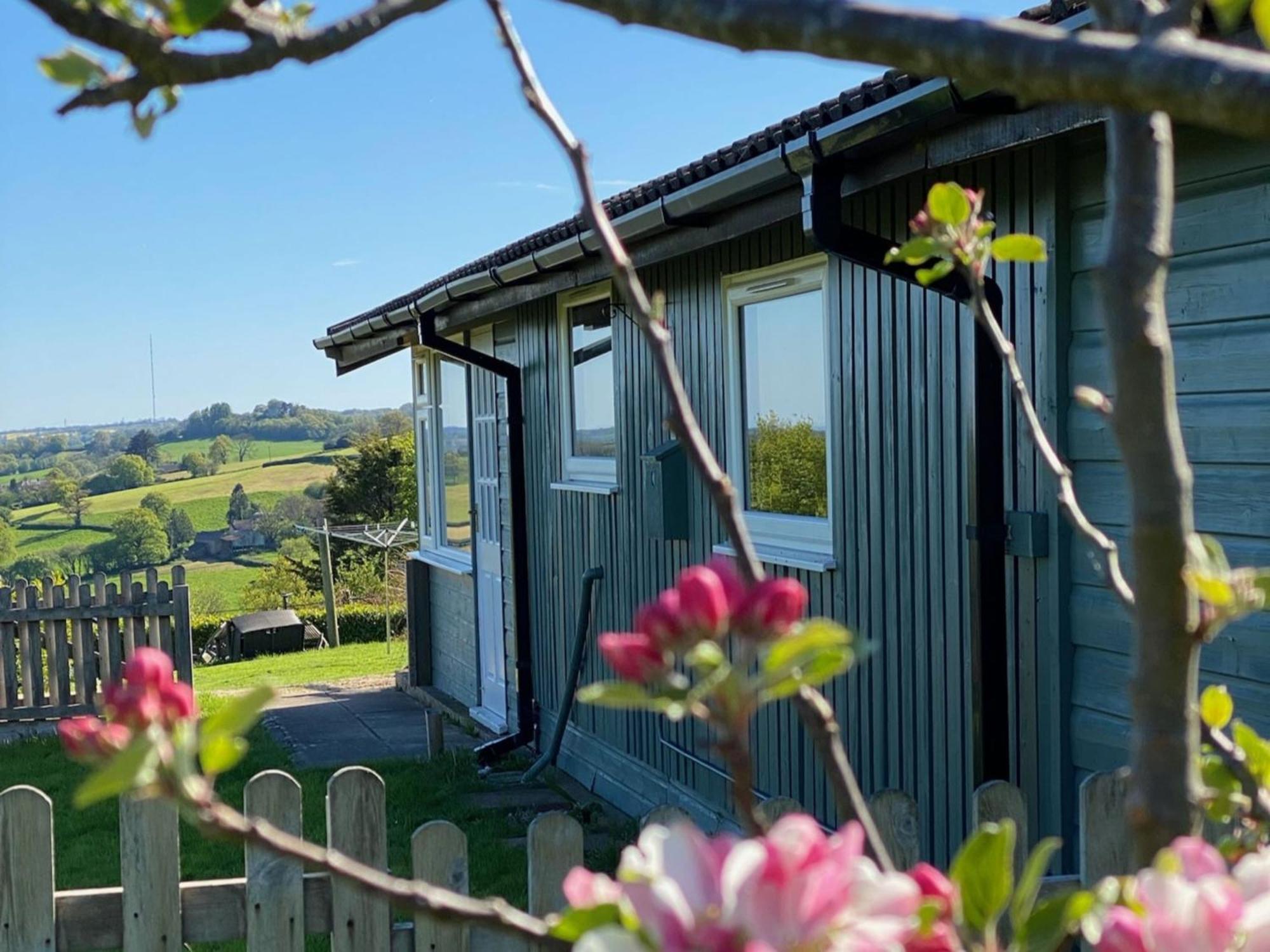 Hillside Lodge Honiton Dış mekan fotoğraf