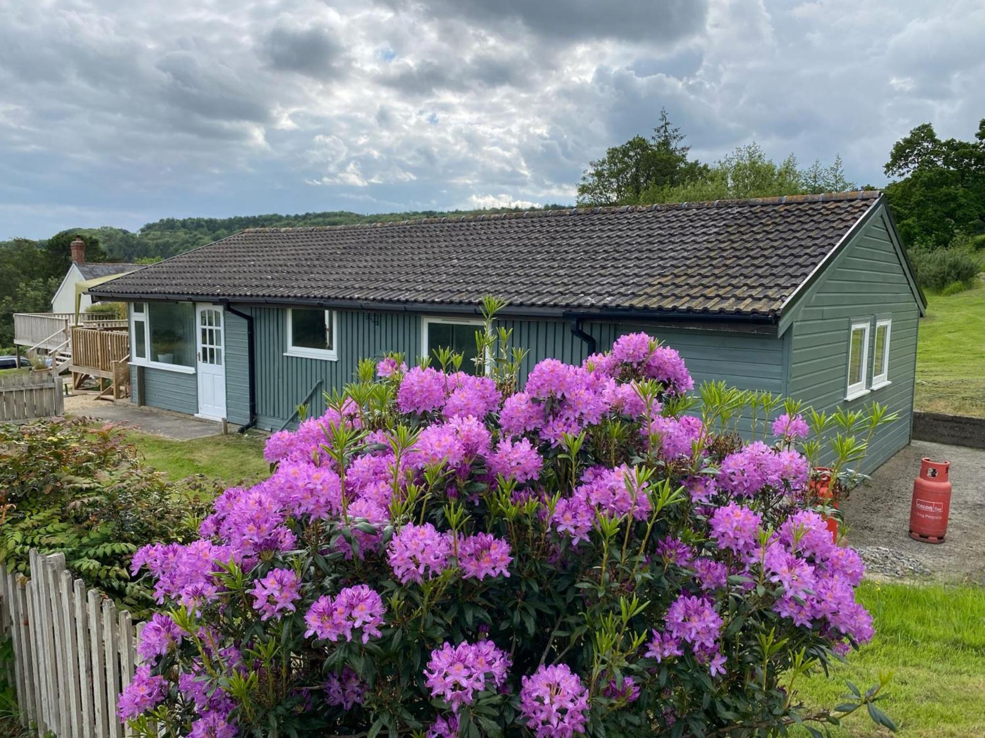 Hillside Lodge Honiton Dış mekan fotoğraf